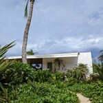 Ikemajima gelato cafe Ninufa - 