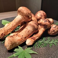 USHIGORO S. SHINJUKU - 