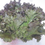 松原農園 - 葉っぱのすいか？