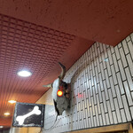 一条流がんこ総本家分家四谷荒木町 - 