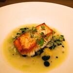 ラチュレ - ◎
      ウスバハギ
      
      