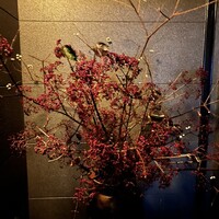 きたうら善漁。 - 