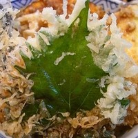 割烹 天ぷら 三太郎 - 野菜天丼　ｱｯﾌﾟ
