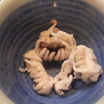 江戸前 寿し政 - 09年新イカのゲソ