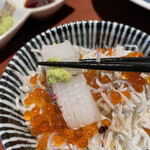 酒肴場 屯 - アオリイカ！