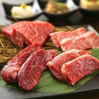 Highest grade Japanese black beef