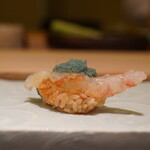 鮨菜 和喜智 - 牡丹海老