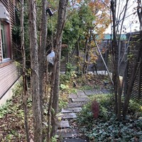 ジュエーメ - 柵の中は自然風のアプローチ