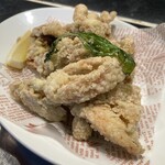 Young chicken fried with Otaki basil