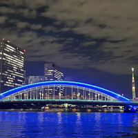 屋形船 品川 船清 - 