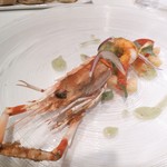 Convivio - 25年5月　花ズッキーニとスカンピのパンツァネッラ仕立て