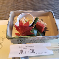 東山望 TAMANOHIKARI - 