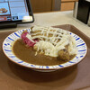 すき家 - シチューソース炭火チキンカレー