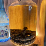 Blue Coast OKINAWA - 