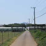 ダチョウ王国観光牧場 - ダチョウ王国　筑波山