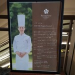 プリムローズ - 