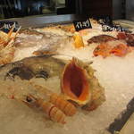 ザッコ アルポルト - 店頭の魚