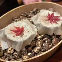 龍吟 - 