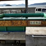 しーらすAQUA - 釣り堀もあります。