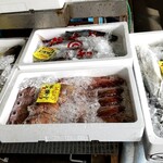 しーらすAQUA - 新鮮なお魚も販売してます。