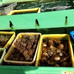 しーらすAQUA - 海の幸でいっばい。