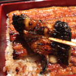 Unagi Tokitou - 