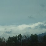 そば処 庄司屋 本店 - 山形は寒い……