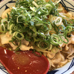 Marugame Seimen - 