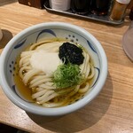 うどん嵐 - 220321ぶっかけ とろろ、生海苔690円