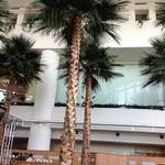 カフェトスカ - 