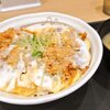 松屋 - ヒレカツ丼（期間限定）