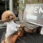 ＭＯＭＩＮＯＫＩ ＨＯＵＳＥ - 一応お約束でｗｗｗ