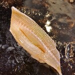 からつ 鮨 笑咲喜 - 