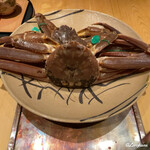 割烹 らん亭 - 活の間人がに二ハイ