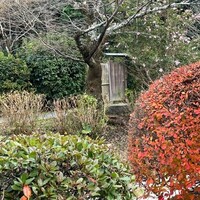 草喰 なかひがし - 