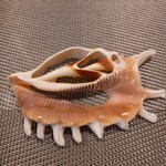 小料理や 野里たけ - 