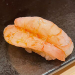 鮨 はち丸 - 甘海老の握り寿司