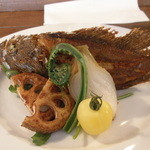 トラットリア スペランツァ エッセ - カサゴの丸揚げ