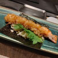 nami.nami - 