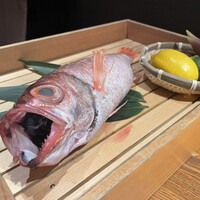 のどぐろ専門 銀座 中俣 - 