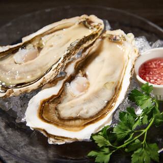 牡蠣好きの方必見。専門店直送の新鮮な牡蠣をご提供