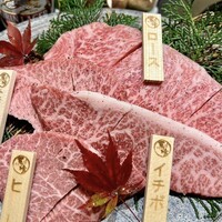 飛騨牛一頭家 馬喰一代 長良本家 - 