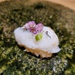 鮨 かぐら - 長崎アオリイカ