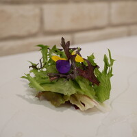 クッチーナ イタリアーナ ガッルーラ - 