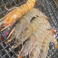 みやび 六本木店 - 