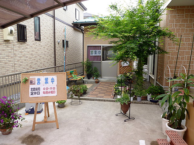 しのぱん name=