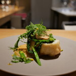 マンサルヴァ - 