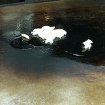 杉の子 - ジックリじっくり焼かれるニンニク。