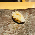 鮨 一二郎 - アオリイカ