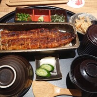 うなぎ四代目菊川 ミッドランドスクエア 名古屋本店 - 